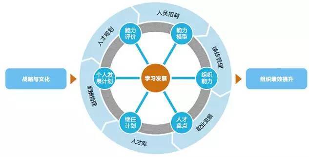 企业命脉--CBA人力资源规划系统 企业管理